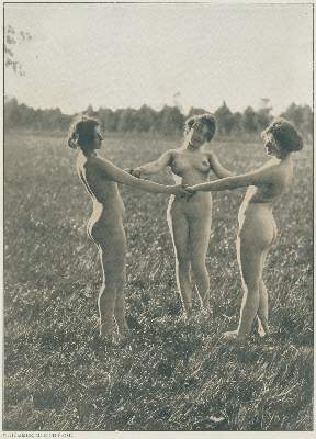 Bild Nr.17: 125-2965 Sammlung: (Photographie)