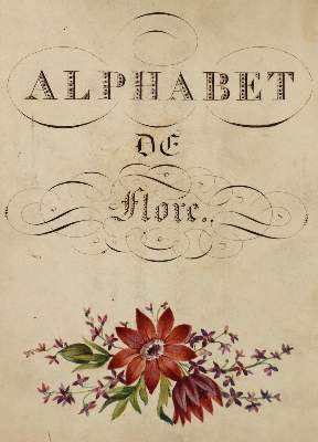 Bild Nr.2: 125-3010 Alphabet.: (Varia, Botanik, Typographie und Kalligraphie)