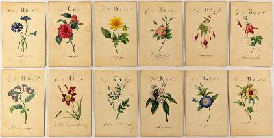 Bild Nr.3: 125-3010 Alphabet.: (Varia, Botanik, Typographie und Kalligraphie)
