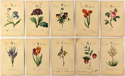 Bild Nr.4: 125-3010 Alphabet.: (Varia, Botanik, Typographie und Kalligraphie)