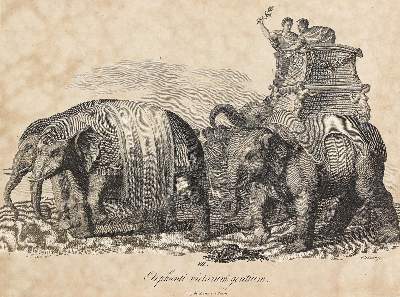 Bild Nr.5: 125-3066 Konvolut: (Varia)