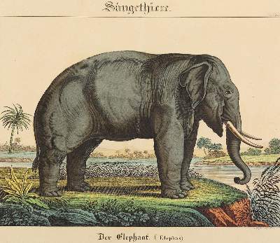 Bild Nr.8: 125-3068 Konvolut: (Varia)