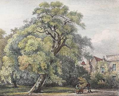 Bild Nr.1: 125-3070 Konvolut: (Varia)