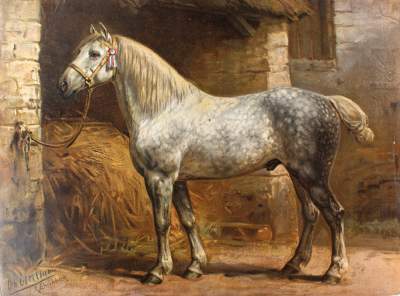 Bild Nr.1: 125-3099 Pferde.: (Varia, Pferde)
