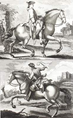 Bild Nr.1: 125-3102 Diepenbeeck: (Varia, Pferde, Reitschule)