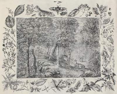 Bild Nr.1: 125-3142 Anschauungsbilder.: (Varia, Zoologie)