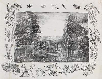 Bild Nr.2: 125-3142 Anschauungsbilder.: (Varia, Zoologie)