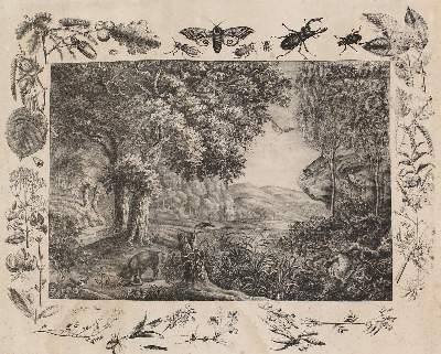 Bild Nr.4: 125-3142 Anschauungsbilder.: (Varia, Zoologie)