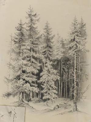 Bild Nr.2: 125-3368 Transimenische See.: (Ausland, Italien)
