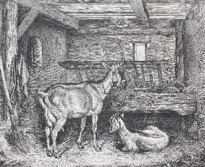 Bild Nr.1: 125-3944 Klein, Johann Adam.: (Künstlergraphik)