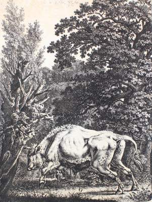 Bild Nr.1: 125-3965 Kolbe, Carl Wilhelm d.Ä.: (Künstlergraphik)