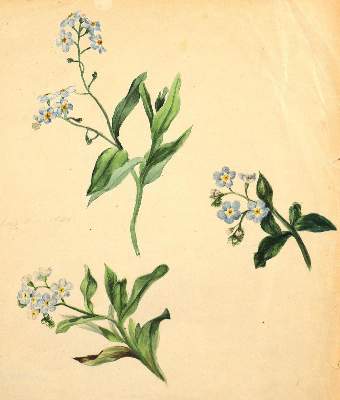 Bild Nr.4: 125-4134 Oesterley, Hulda: (Künstlergraphik)