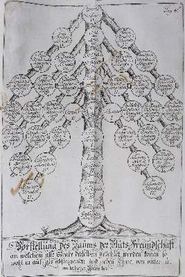 Bild Nr.2: 125-504 Mülhausen.: (Juridica und Kriminologie, Elsass)