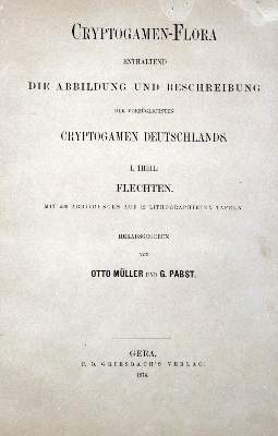 Bild Nr.2: 125-532 Konvolut: (Varia)