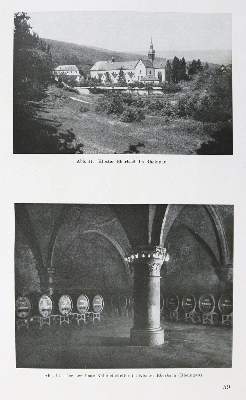 Bild Nr.2: 125-669 Ruthe,W.: (Küche und Haushalt, Getränke, Wein und Weinbau)
