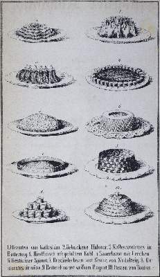 Bild Nr.1: 125-685 Riedl,C.C.: (Küche und Haushalt, Kochbücher, Bodensee)