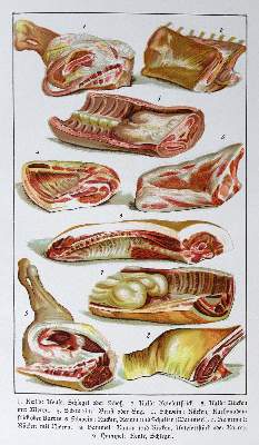 Bild Nr.2: 125-754 Stolle-Unterweger,R.: (Küche und Haushalt, Kochbücher)