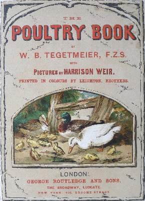 Bild Nr.2: 125-799 Tegetmeier,W.B.: (Land- und Forstwirtschaft, Tierhaltung, Geflügel)