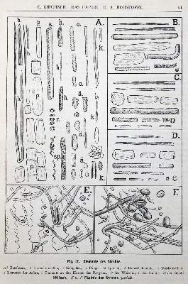 Bild Nr.1: 125-930 Kirchner,E.: (Papier)