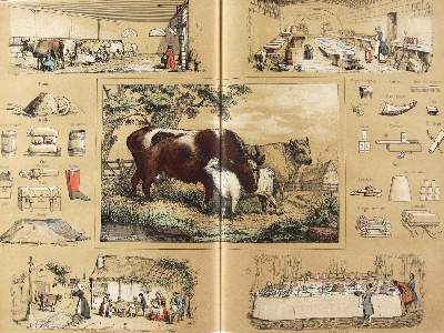 Bild Nr.2: 125-994 Delbrück,J.: (Kinder- und Jugendbücher)