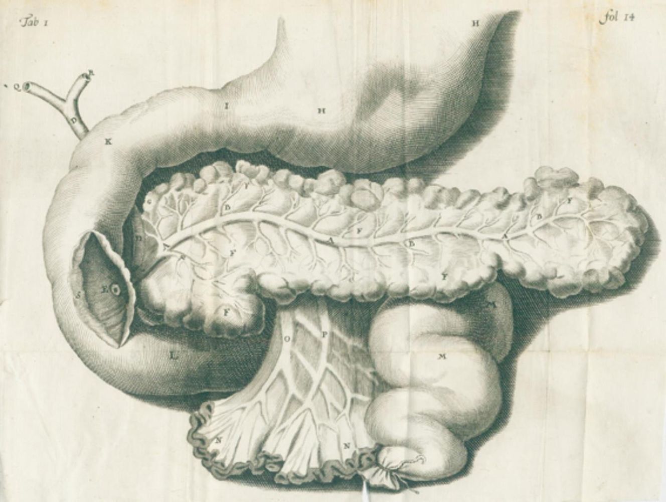 Große Abbildung Nr.1: 126-135 Graaf,R.de.: (Aus der Sammlung Professor Dr.Dr.Johannes Büttner Teil 1)