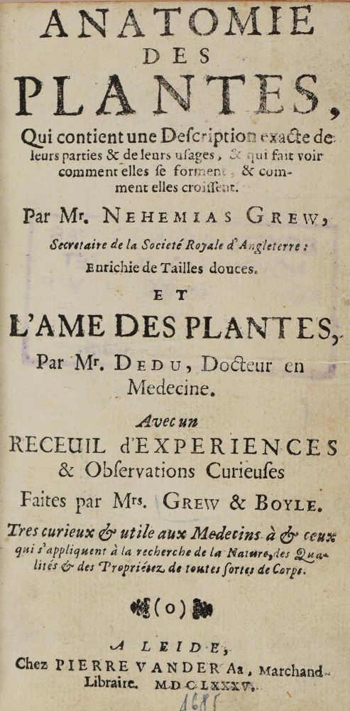 Große Abbildung Nr.1: 126-137 Grew,N.: (Aus der Sammlung Professor Dr.Dr.Johannes Büttner Teil 1)