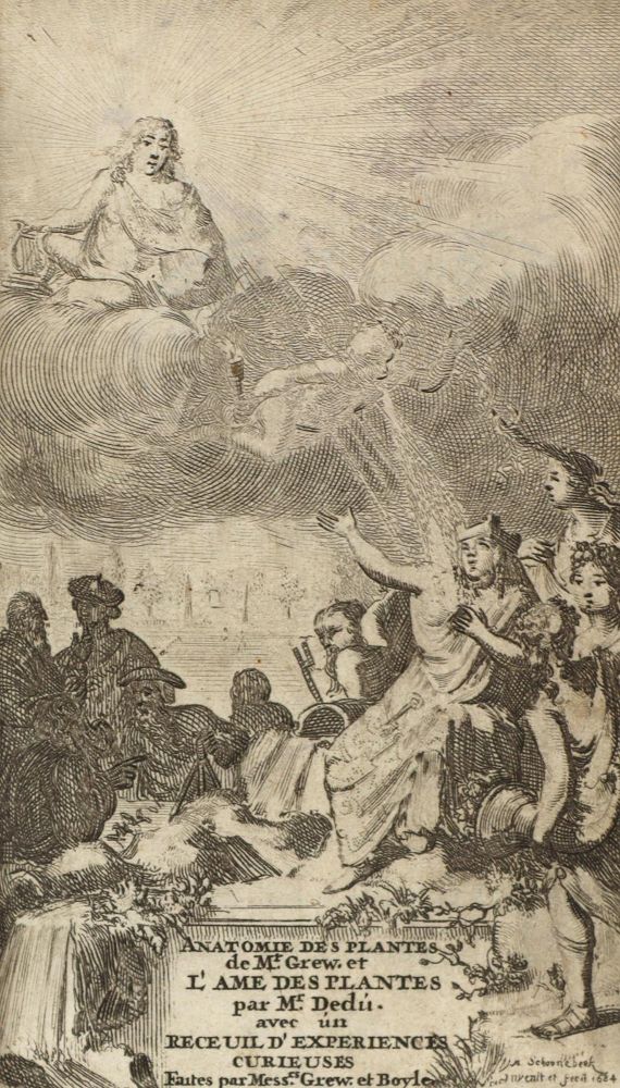 Große Abbildung Nr.2: 126-137 Grew,N.: (Aus der Sammlung Professor Dr.Dr.Johannes Büttner Teil 1)