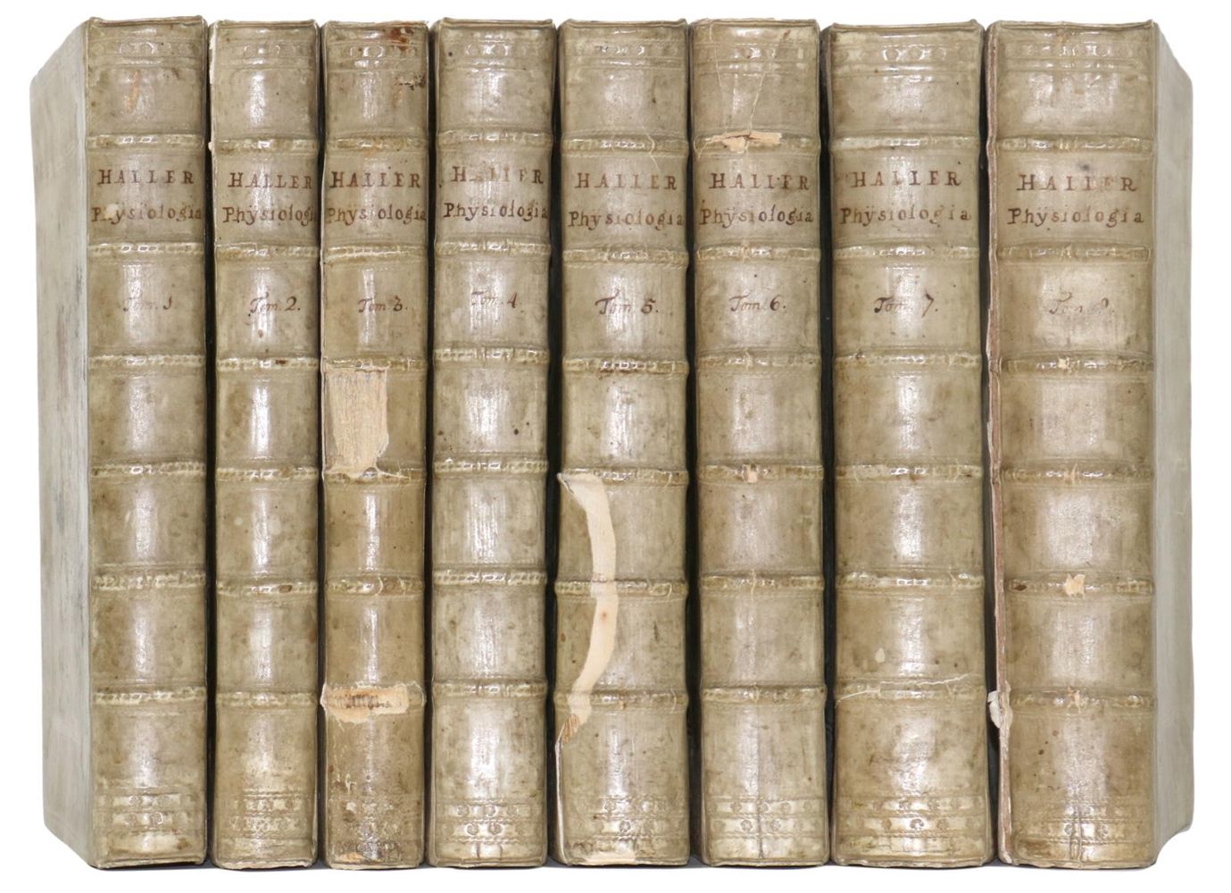 Große Abbildung Nr.2: 126-145 Haller,Albert von.: (Aus der Sammlung Professor Dr.Dr.Johannes Büttner Teil 1)