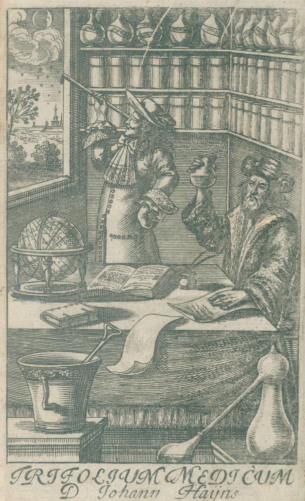 Große Abbildung Nr.2: 126-153 Hayne,J.: (Aus der Sammlung Professor Dr.Dr.Johannes Büttner Teil 1)