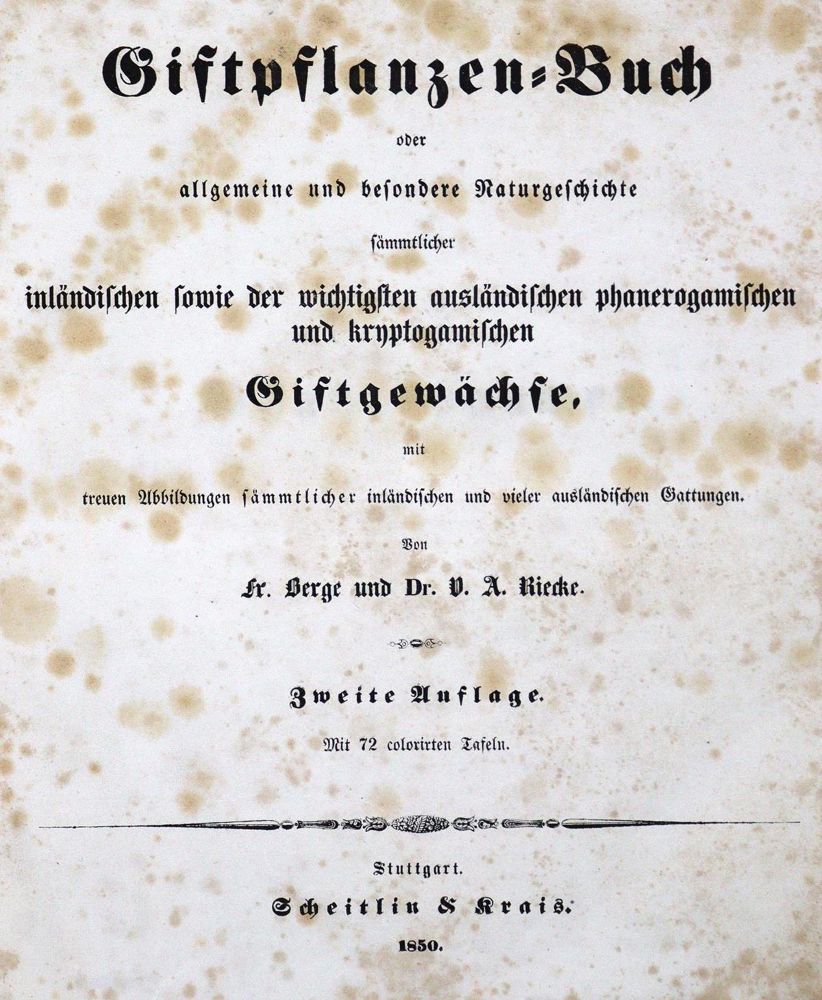 Große Abbildung Nr.2: 126-1532 Berge,F. u. V.A.Riecke.: (Botanik)
