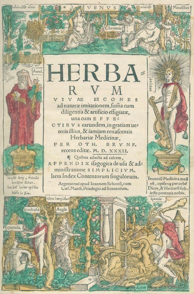 Große Abbildung Nr.1: 126-1540 Brunf(els),O.: (Botanik, Kräuterbücher)