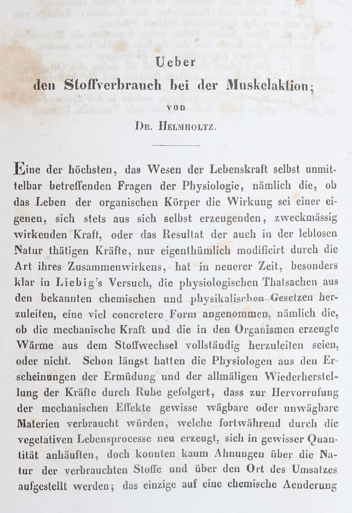 Große Abbildung Nr.1: 126-155 Helmholtz,H.: (Aus der Sammlung Professor Dr.Dr.Johannes Büttner Teil 1)