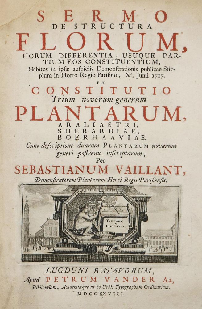 Große Abbildung Nr.1: 126-1554 Vaillant,S.: (Botanik)