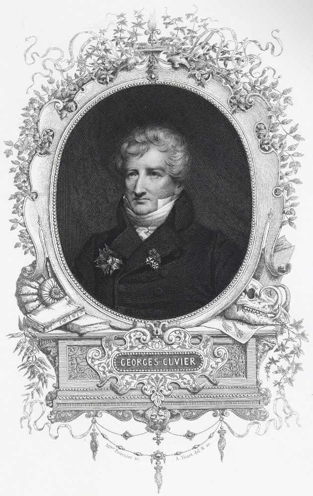 Große Abbildung Nr.1: 126-1590 Bernard,P. u.a.: (Zoologie)