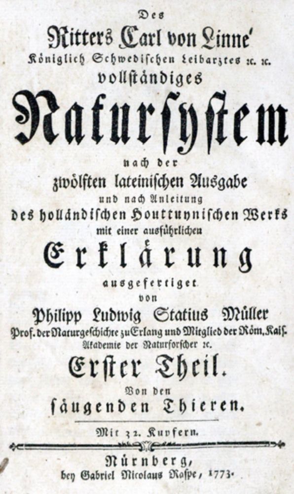 Große Abbildung Nr.1: 126-1595 Linné,C.v.: (Zoologie)