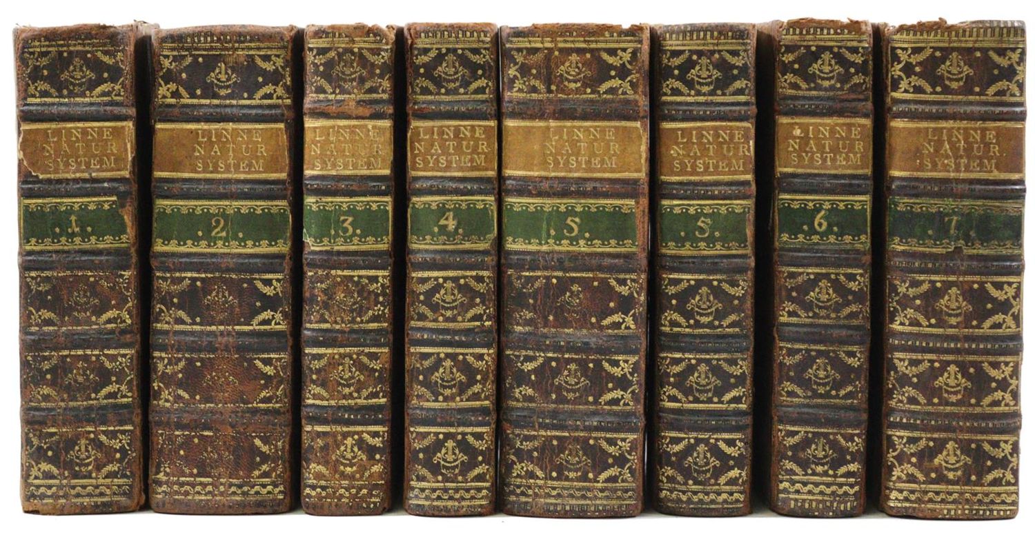 Große Abbildung Nr.10: 126-1595 Linné,C.v.: (Zoologie)