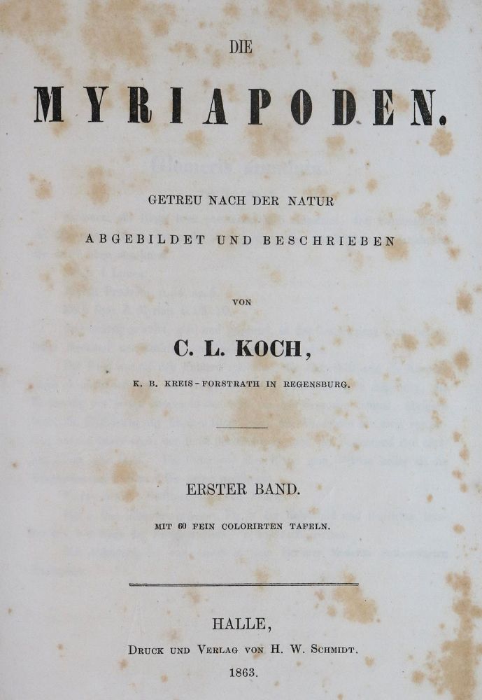 Große Abbildung Nr.1: 126-1597 Koch,C.L.: (Zoologie, Tausendfüßler)