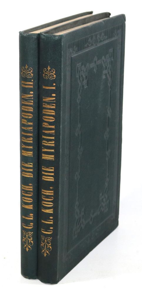 Große Abbildung Nr.2: 126-1597 Koch,C.L.: (Zoologie, Tausendfüßler)
