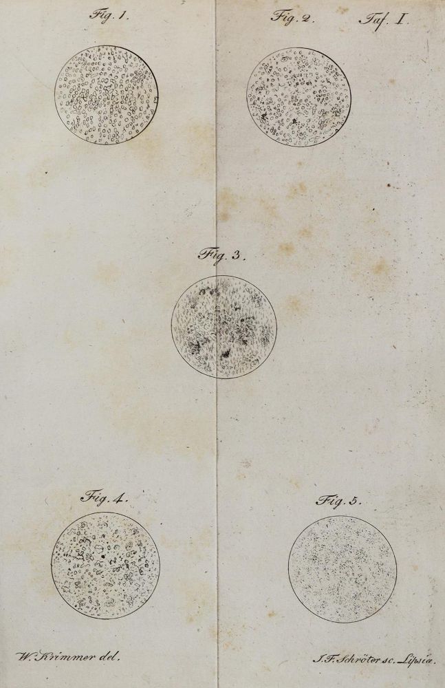 Große Abbildung Nr.1: 126-165 Hildebrandt,F.: (Aus der Sammlung Professor Dr.Dr.Johannes Büttner Teil 1)