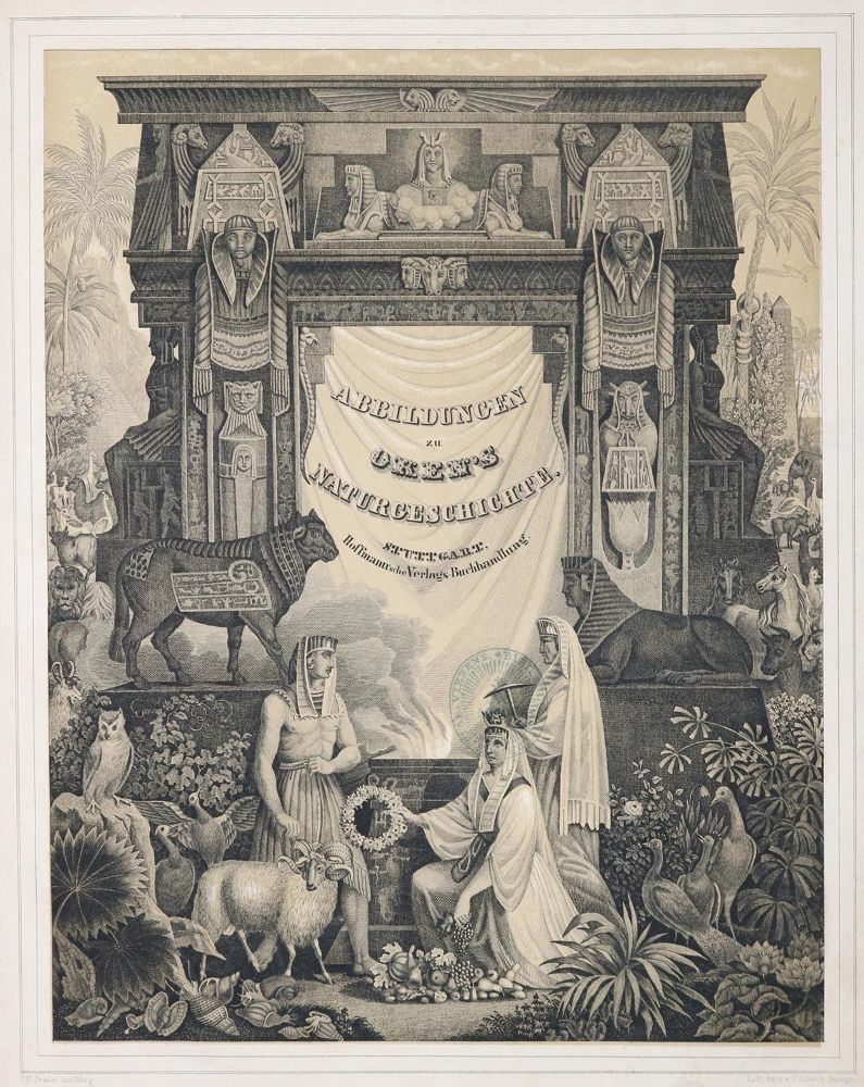 Große Abbildung Nr.2: 126-1663 Oken,(L.).: (Verschiedene Gebiete - Varia)