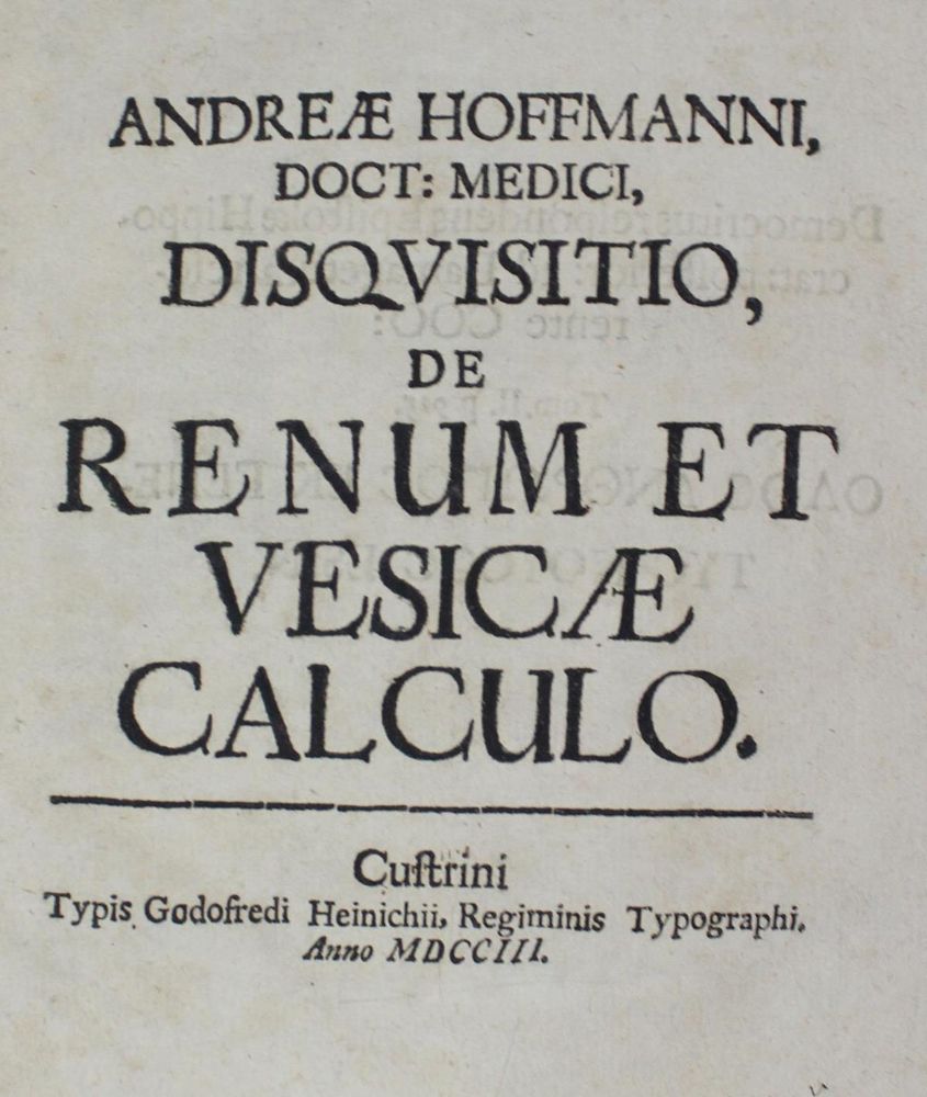 Große Abbildung Nr.1: 126-167 Hoffmann,A.: (Aus der Sammlung Professor Dr.Dr.Johannes Büttner Teil 1)