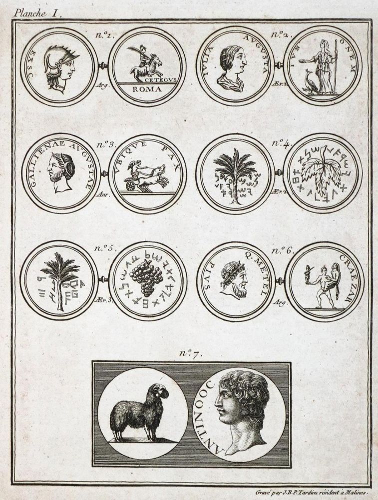 Große Abbildung Nr.1: 126-1712 Poinsinet de Sivry (L.): (Afrika, Ägypten)