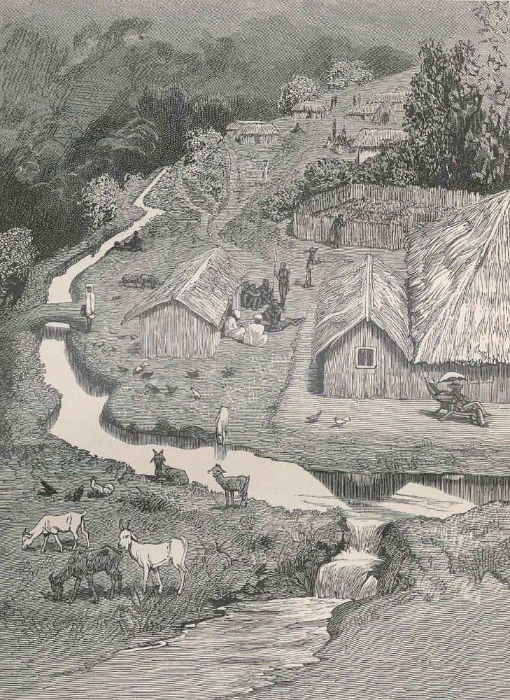 Große Abbildung Nr.2: 126-1730 Johnston,H.H.: (Afrika, Kilimandscharo)