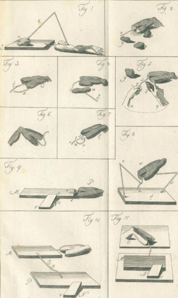 Große Abbildung Nr.1: 126-180 Humboldt,F.A.v.: (Aus der Sammlung Professor Dr.Dr.Johannes Büttner Teil 1)