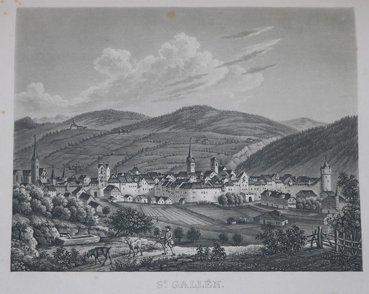 Große Abbildung Nr.1: 126-1959 Naef,A.: (Schweiz, St.Gallen)
