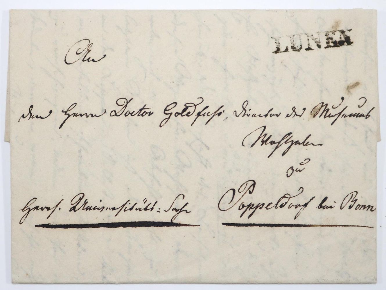 Große Abbildung Nr.1: 126-2065 Goldfuß, Georg August,: (Bonn)