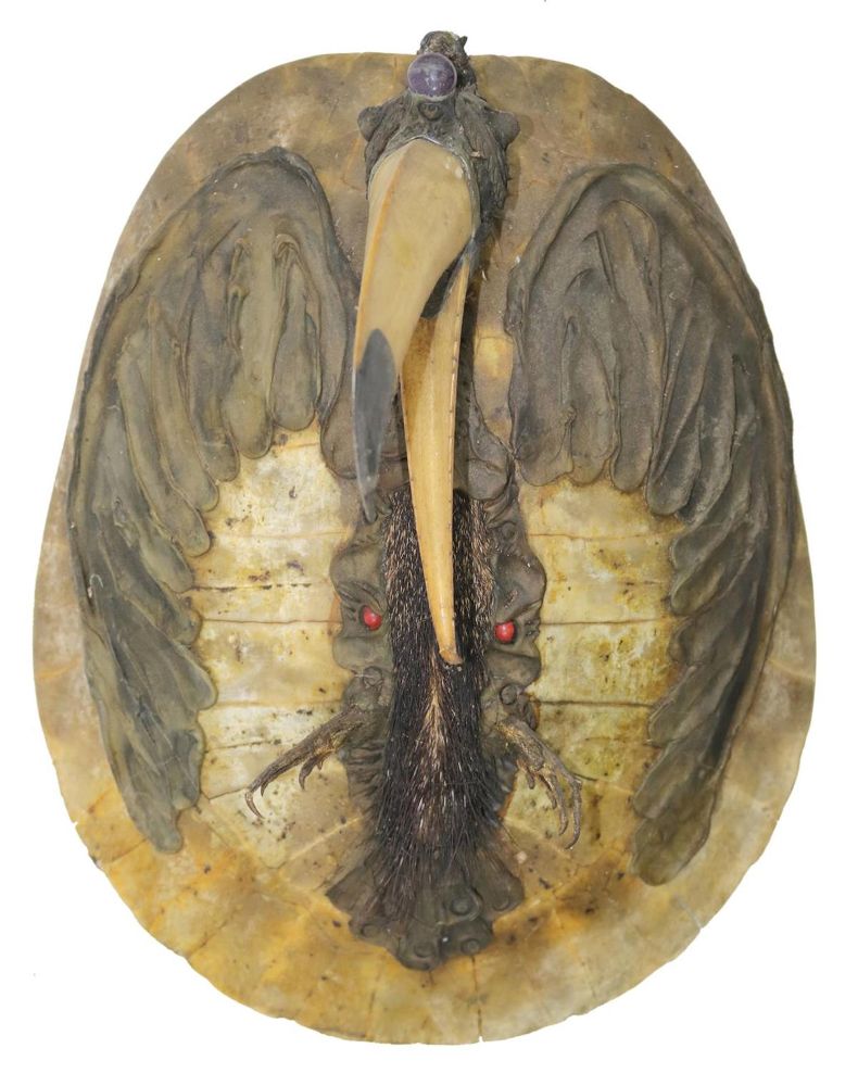 Große Abbildung Nr.1: 126-2182 Hornvogelschild: (Varia, Südsee)