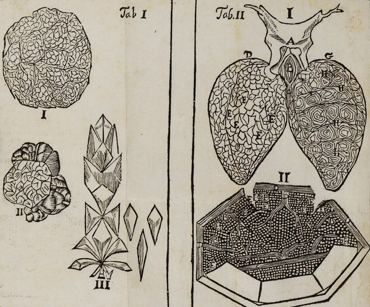 Große Abbildung Nr.1: 126-246 Malpighi,M.: (Aus der Sammlung Professor Dr.Dr.Johannes Büttner Teil 1)