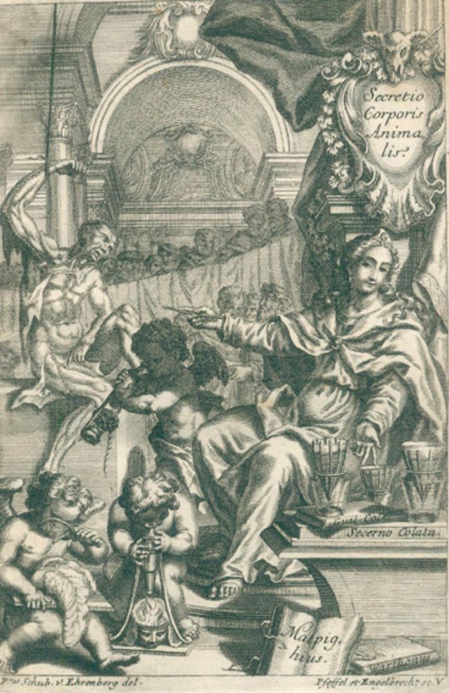 Große Abbildung Nr.1: 126-249 Mannagetta,M.W.: (Aus der Sammlung Professor Dr.Dr.Johannes Büttner Teil 1)