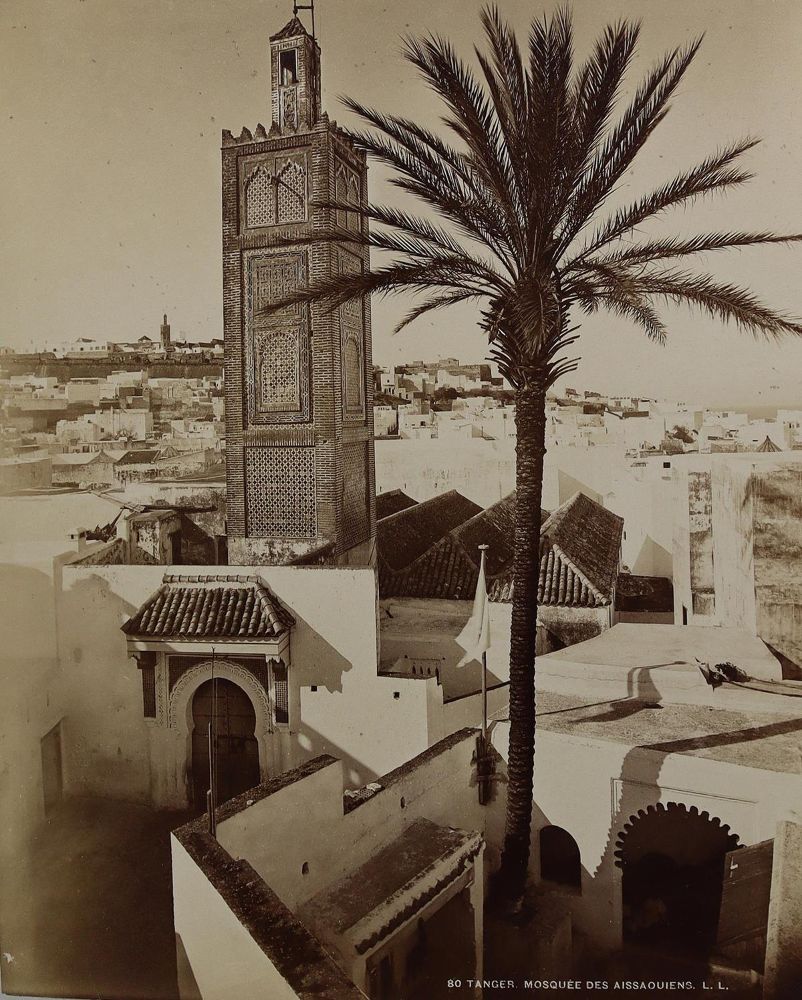 Große Abbildung Nr.7: 126-2619 Gibraltar,: (Spanien)